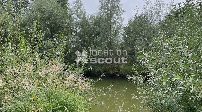 Lokacja #D864 - ogród